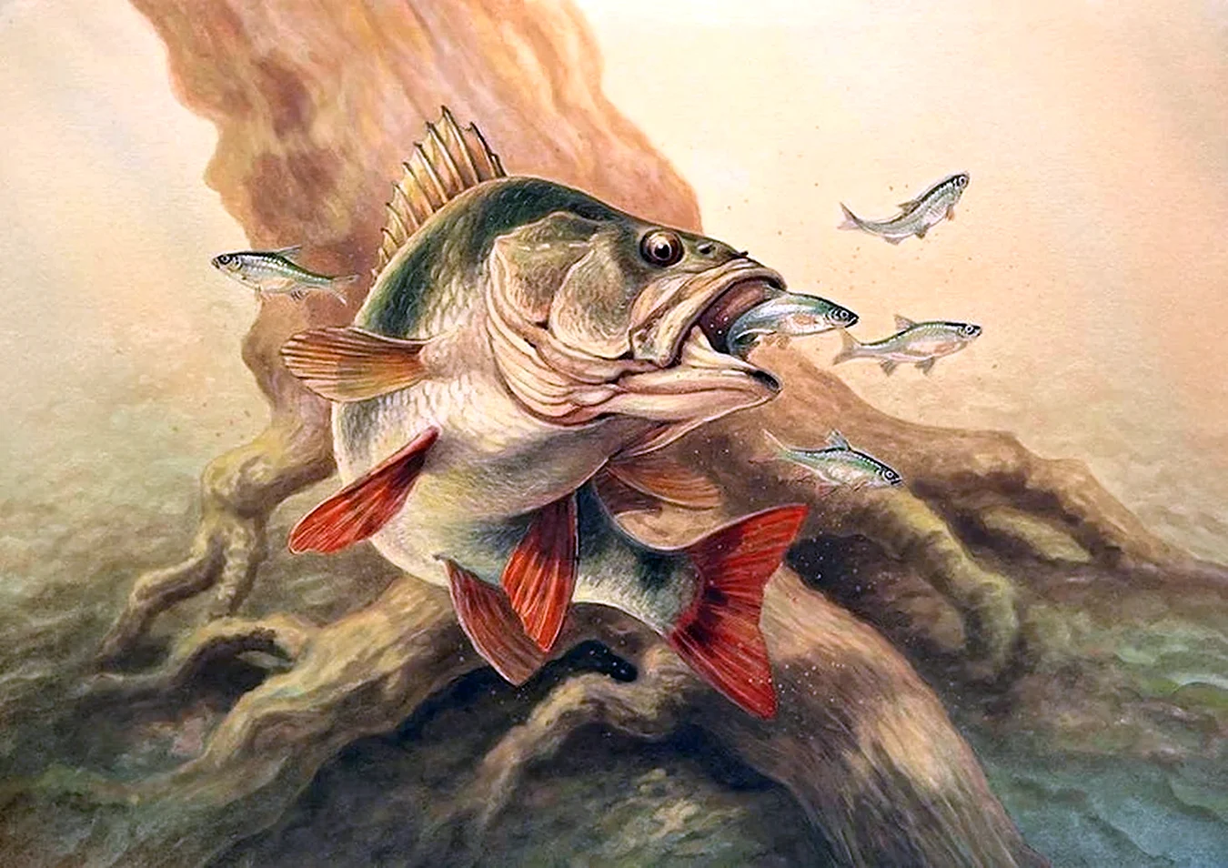 Александр Дегтев рыба