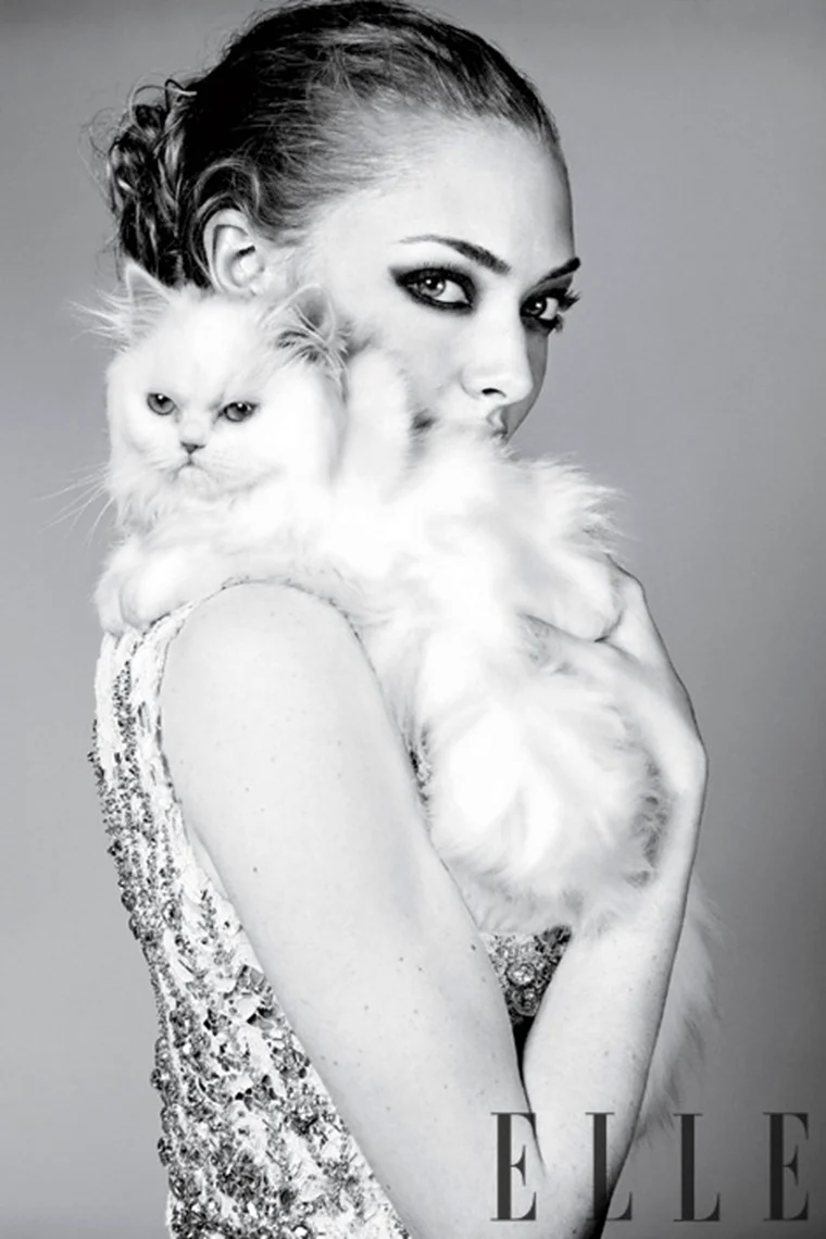 Аманда Сейфрид и кошка