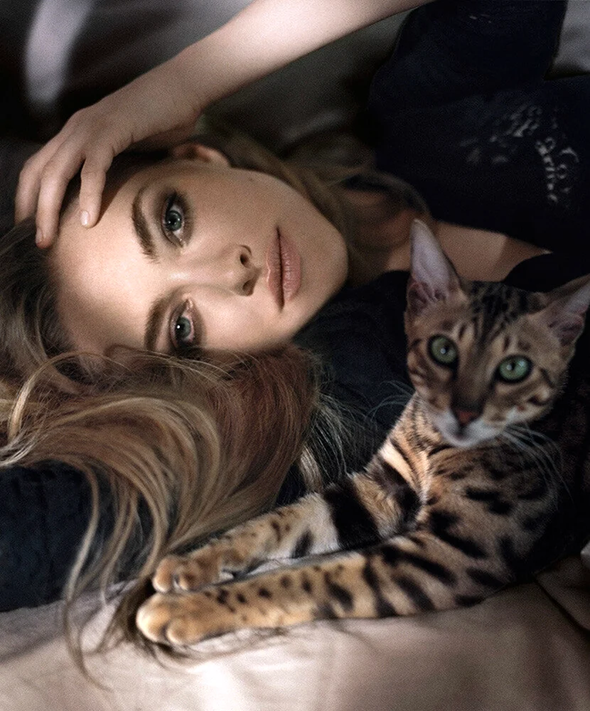 Amanda Seyfried кошки