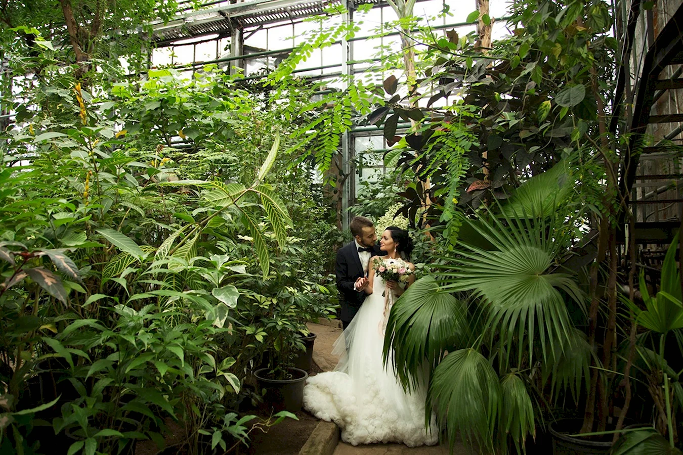 Аптекарский огород оранжерея свадьба