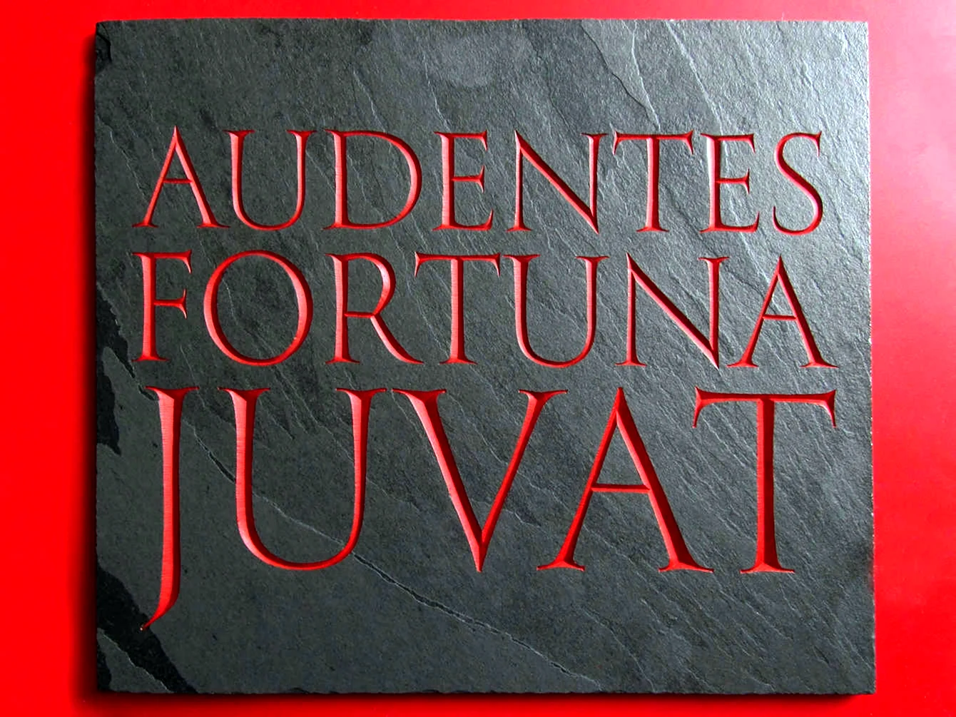 Audentes Fortuna Juvat