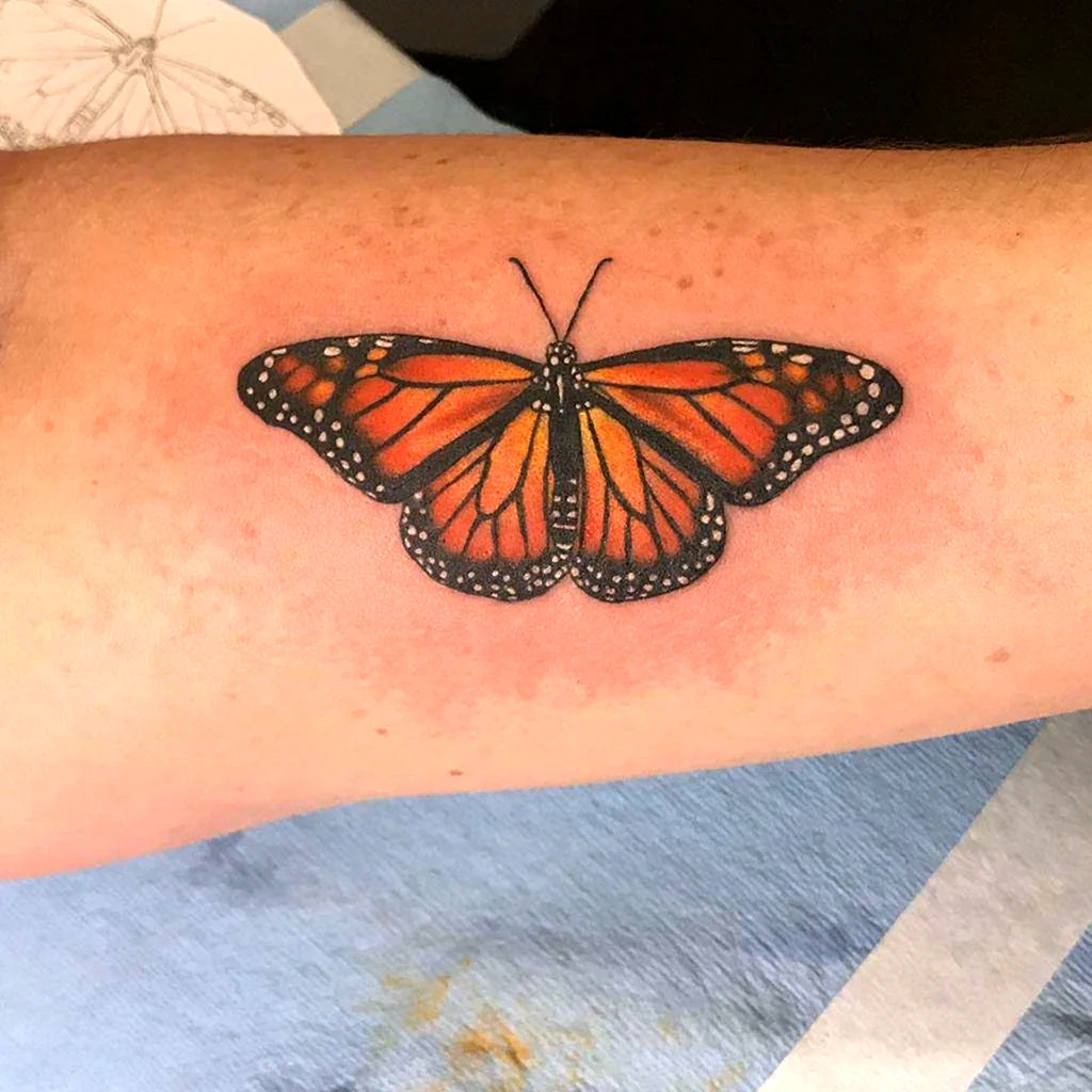 Бабочка Монарх тату