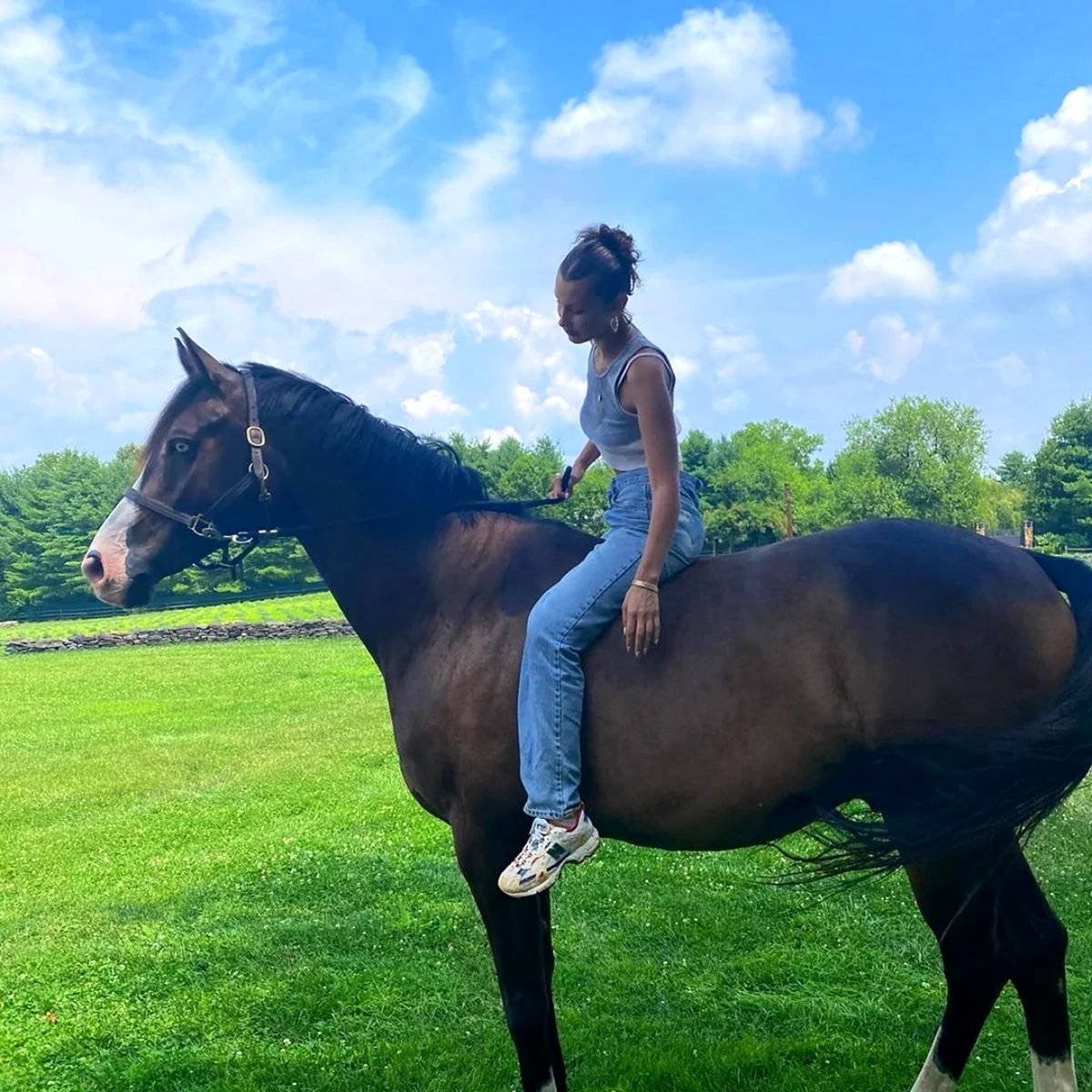 Белла Хадид с лошадью