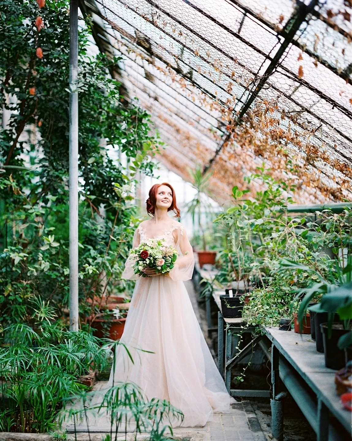 Ботанический сад Цицина свадьба