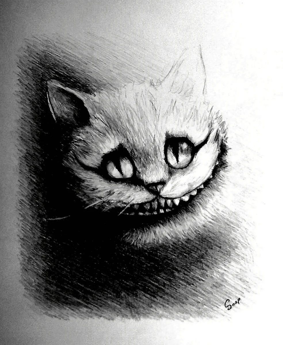 Чеширский кот карандашом