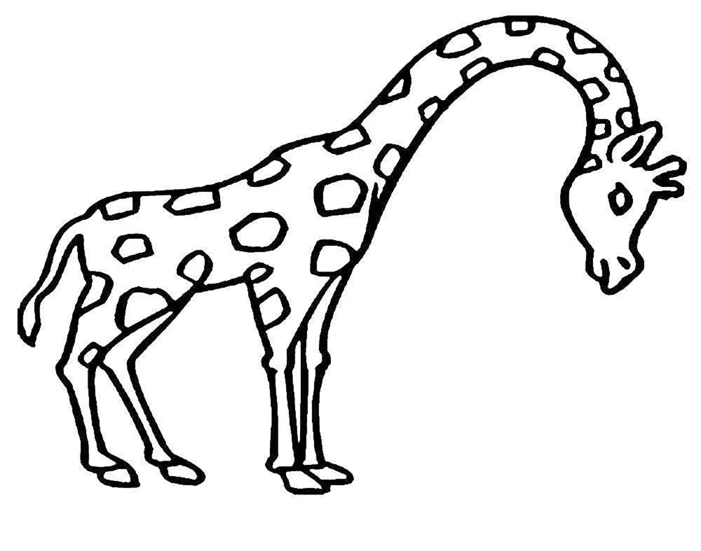 Детские рисунки жирафа