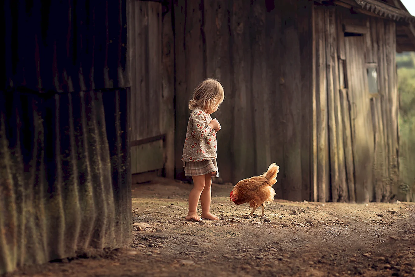 Девочка с цыплятами