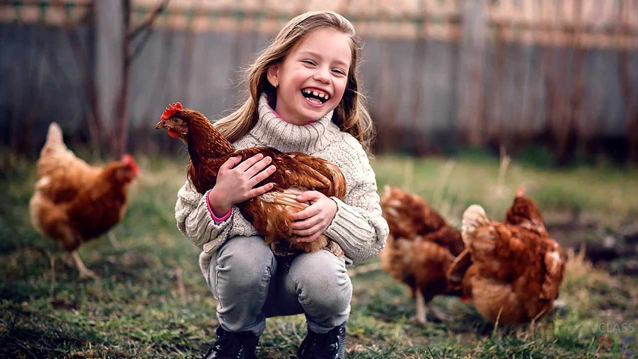 Девочка в деревне с курицей