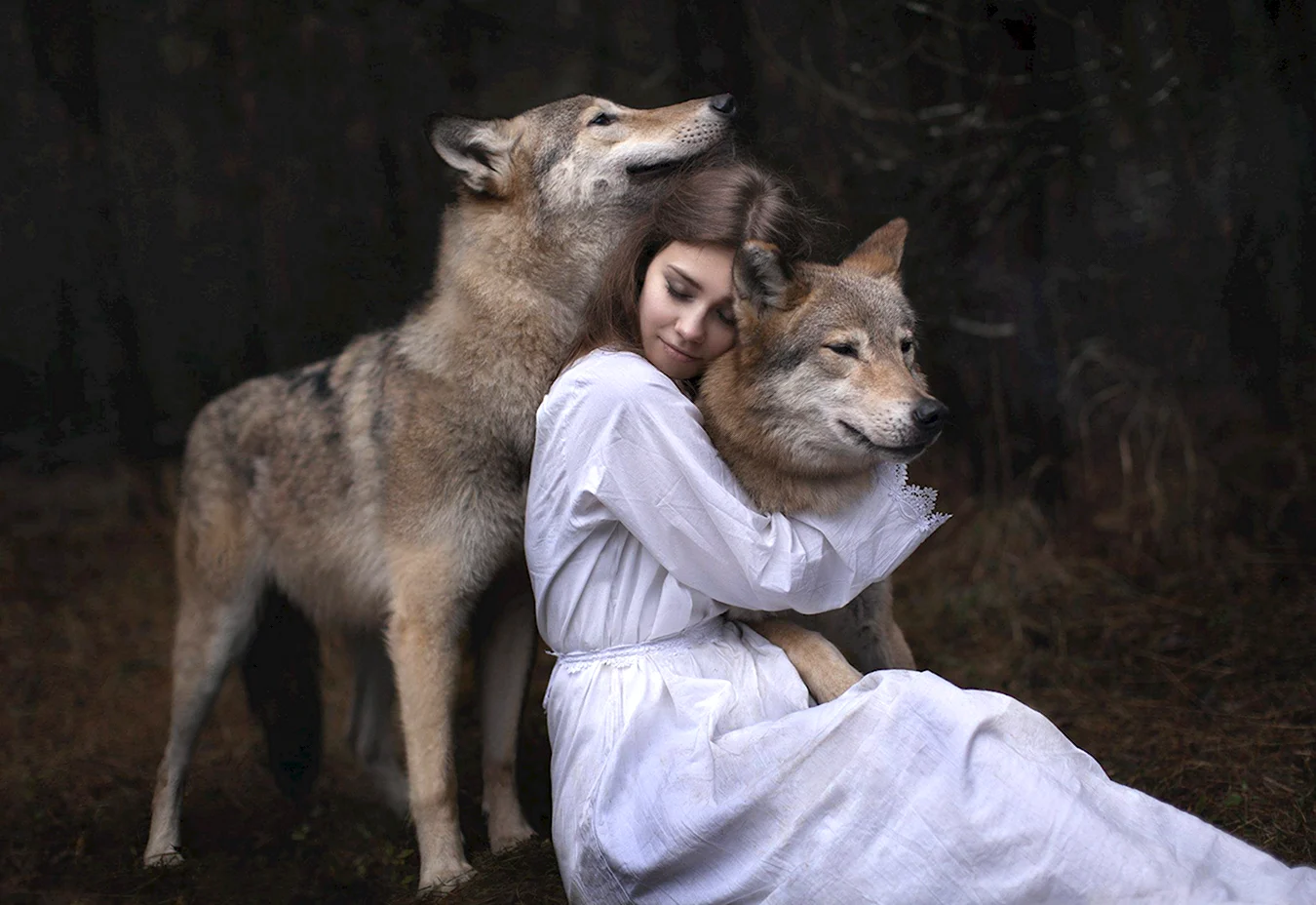 Девушка и волк Эстетика
