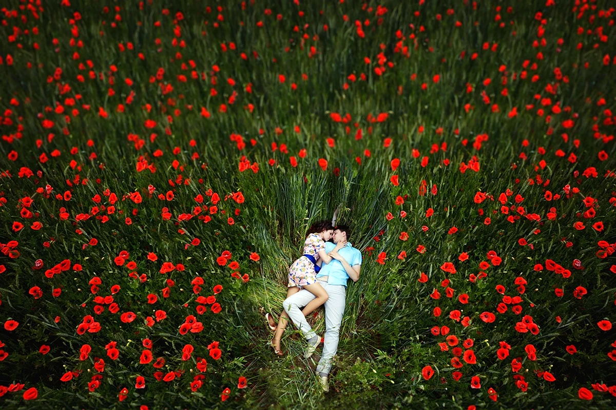 Девушка лежит в поле цветов