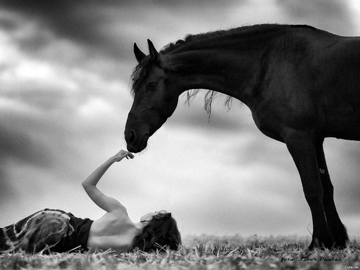 Девушка с черным конем