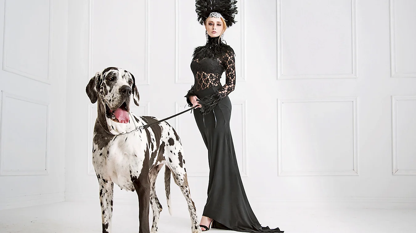 Девушка в платье с собакой