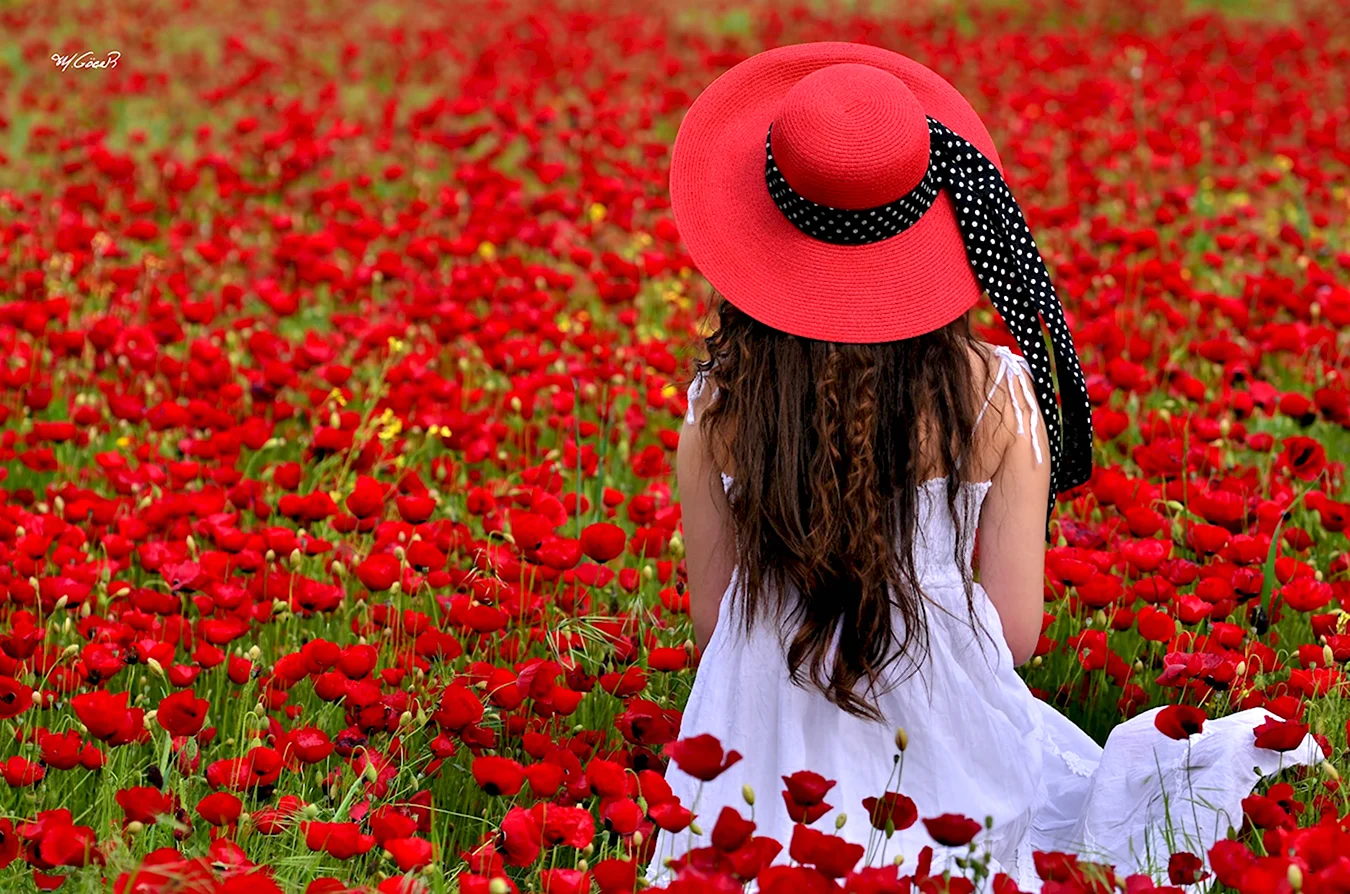 Девушка в шляпе поле цветов