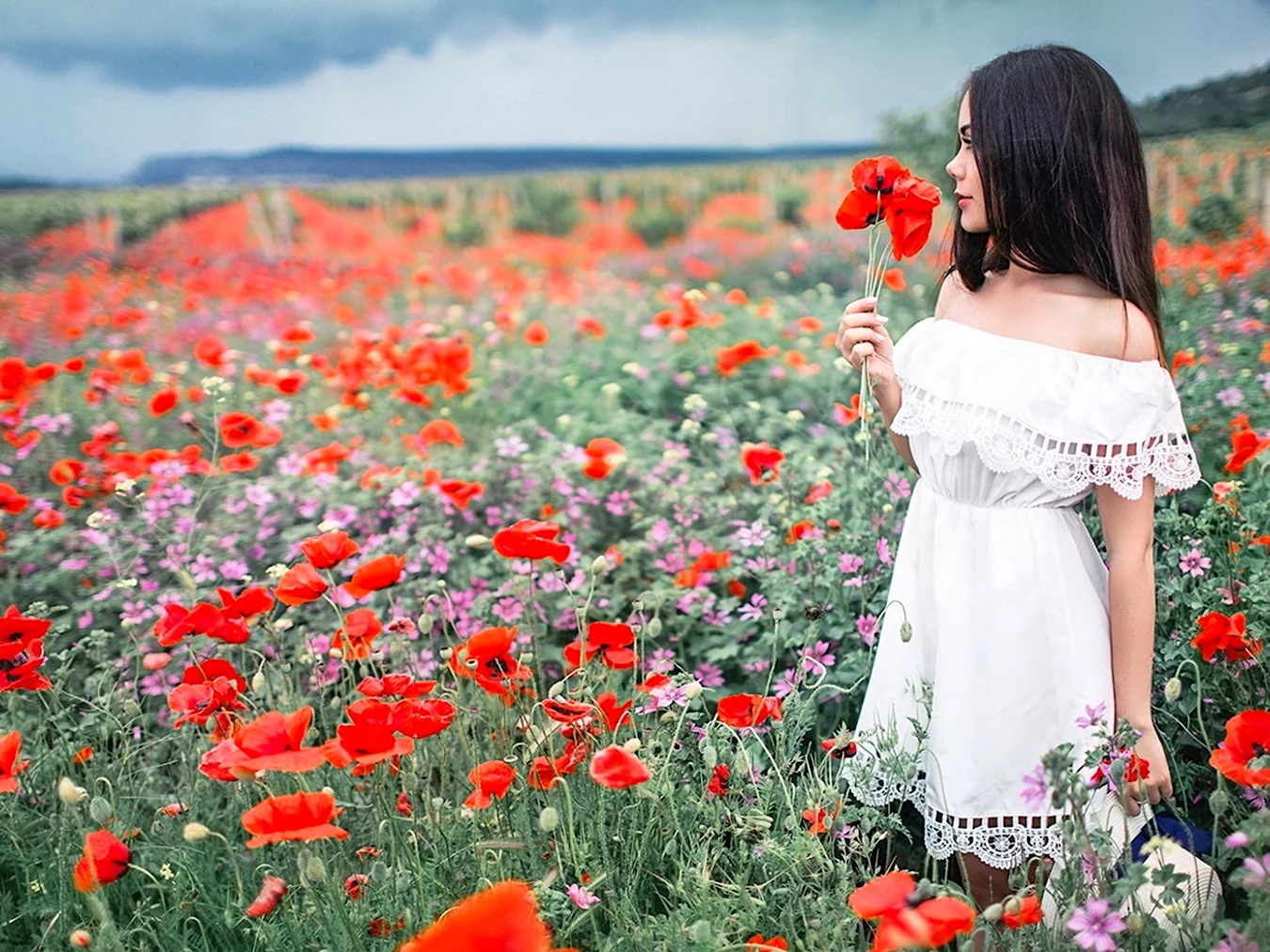 Девушка в цветочном поле