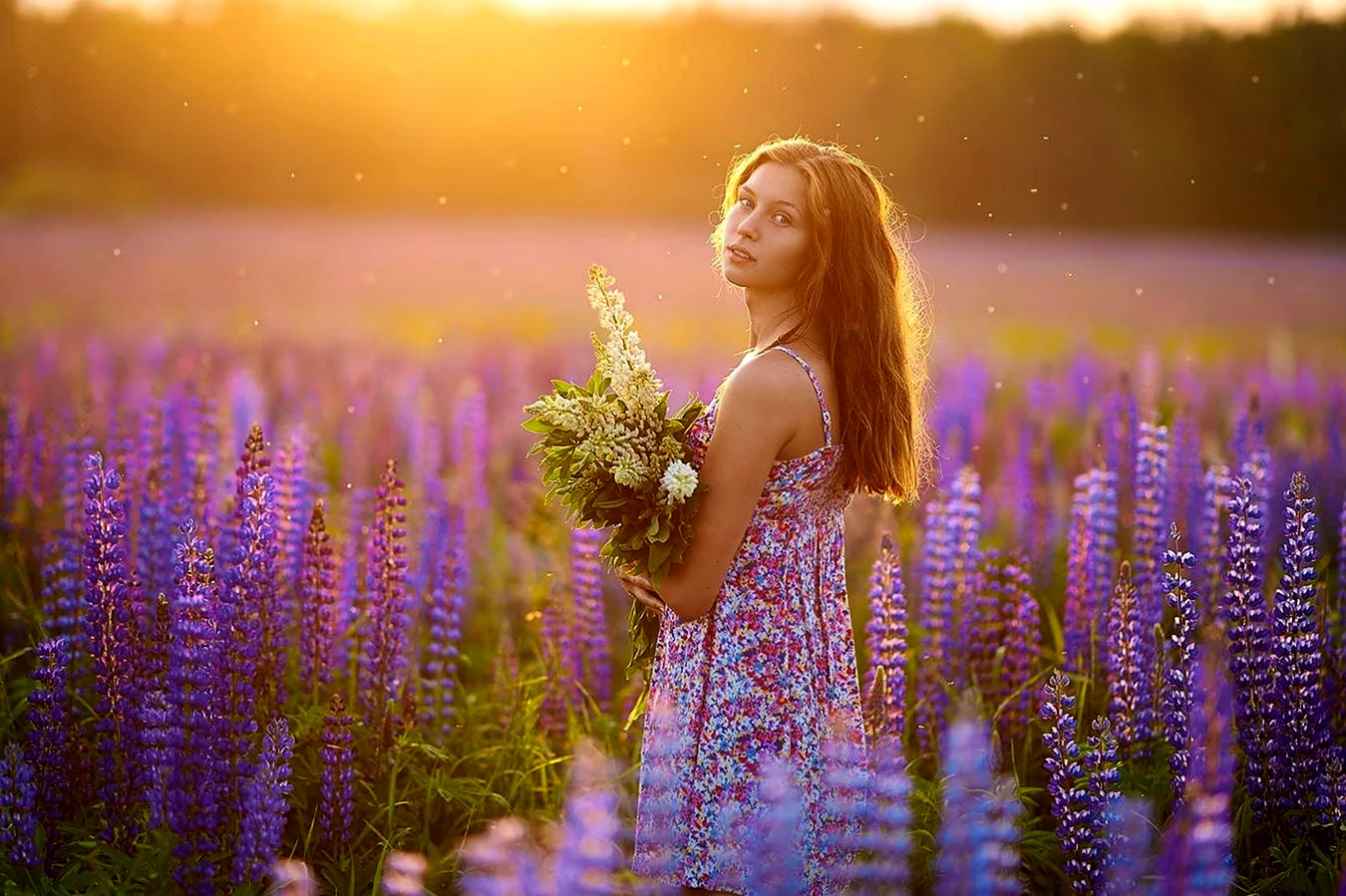 Девушка в цветущем поле