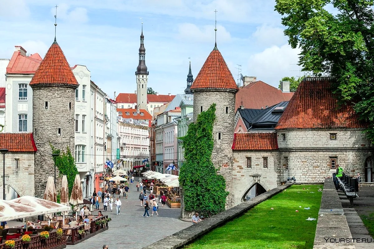 Эстония столица Таллин