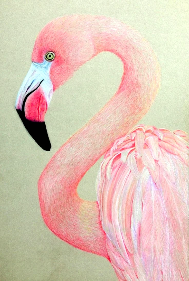 Фламинго арт. Id136171