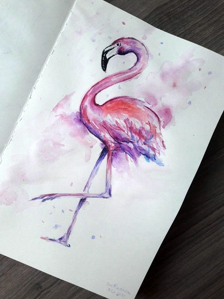 Фламинго для срисовки акварелью