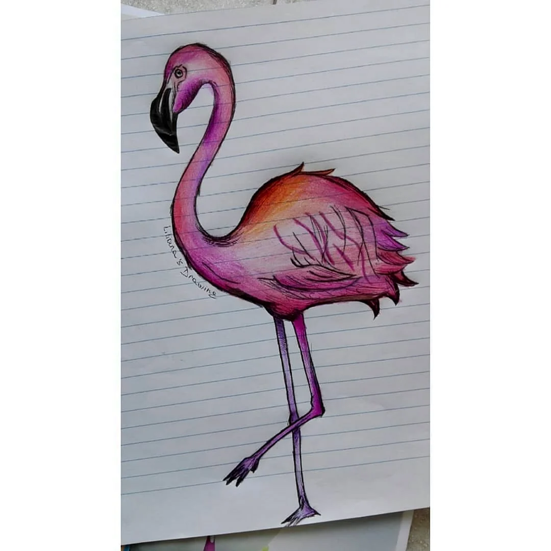 Фламинго рисунок фломастерами