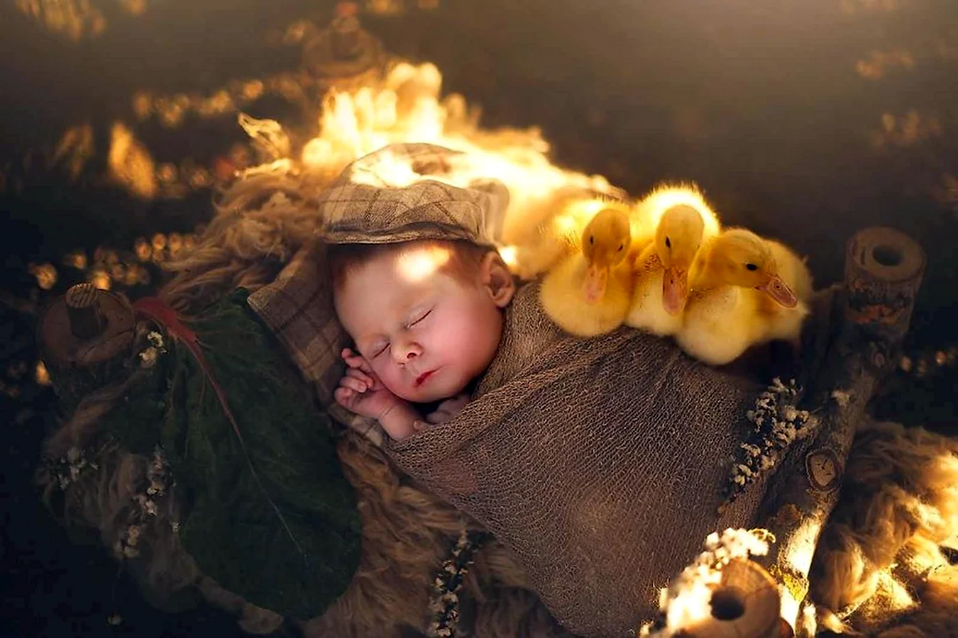 Фотосессия новорожденных с цыплятами