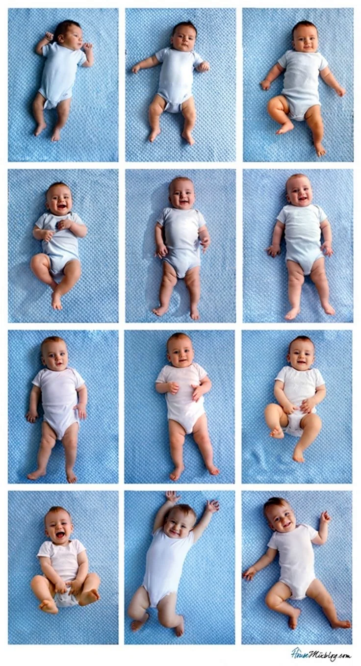 Фотосессия по месяцам новорожденного до года