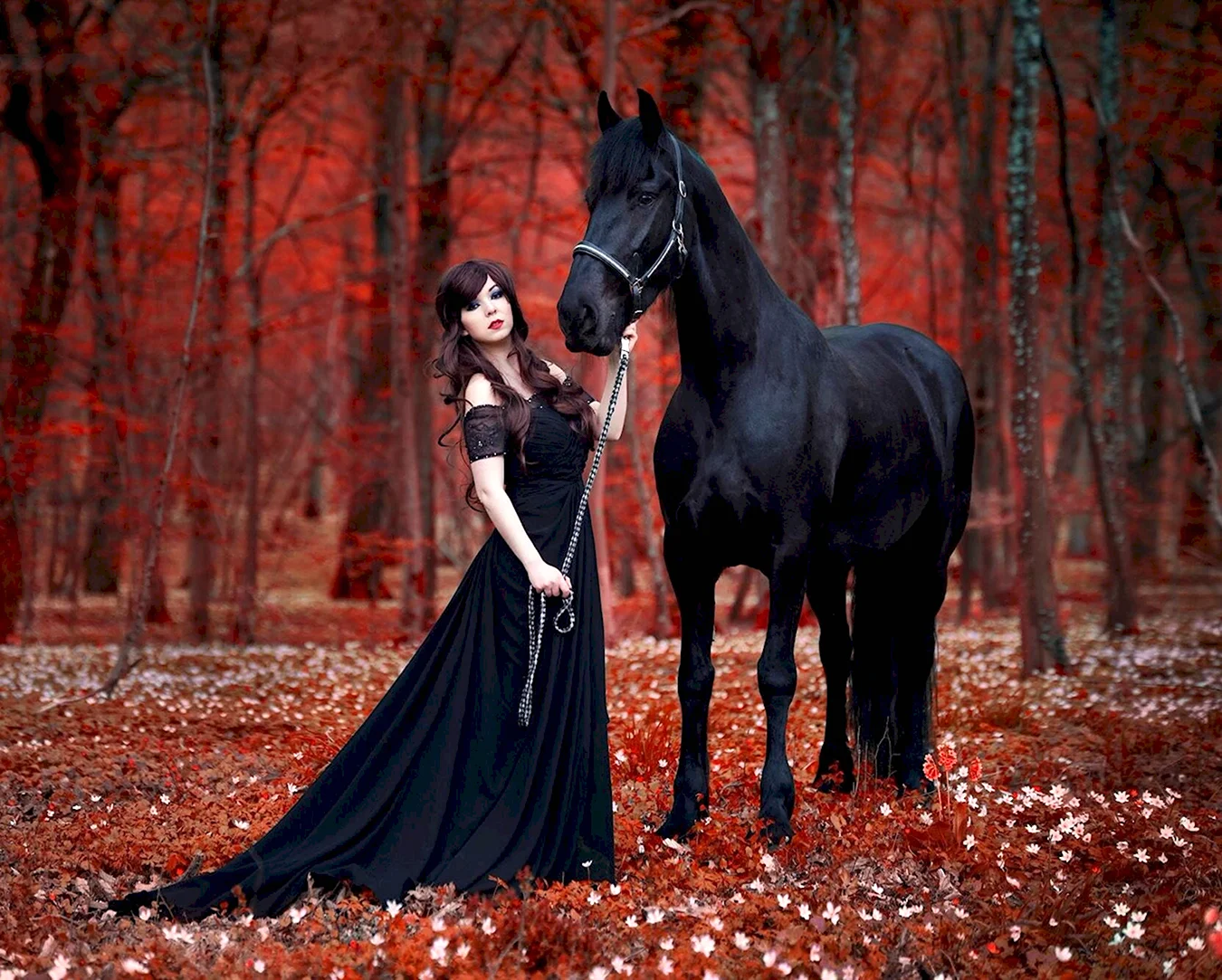 Фотосессия с черной лошадью