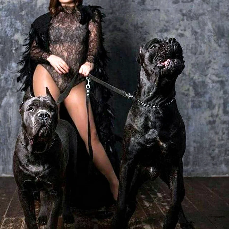 Фотосессия с черной собакой