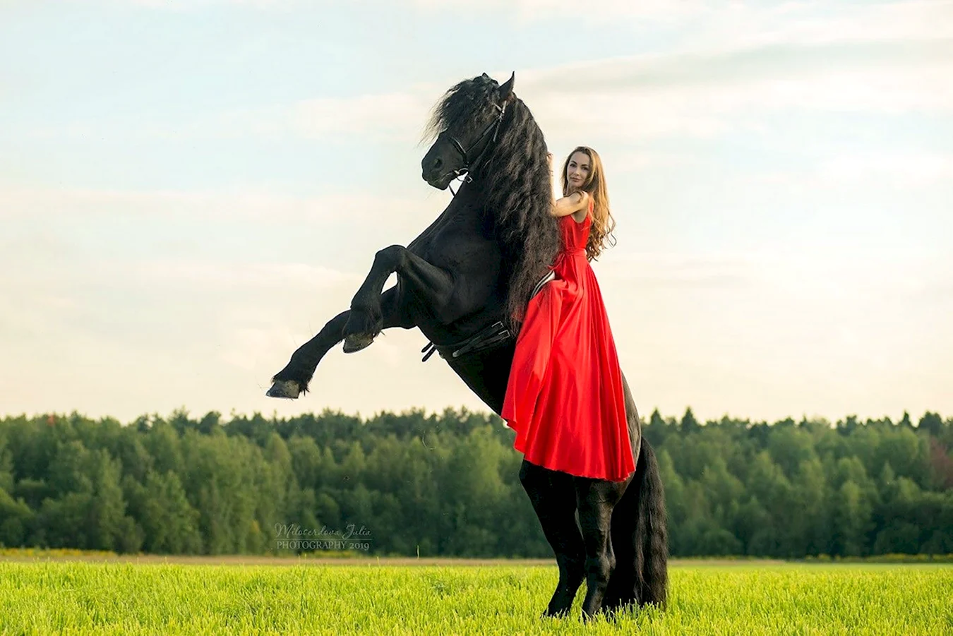 Фотосессия с лошадьми образы летом в платье