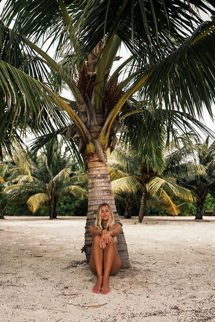 Фотосессия с пальмами