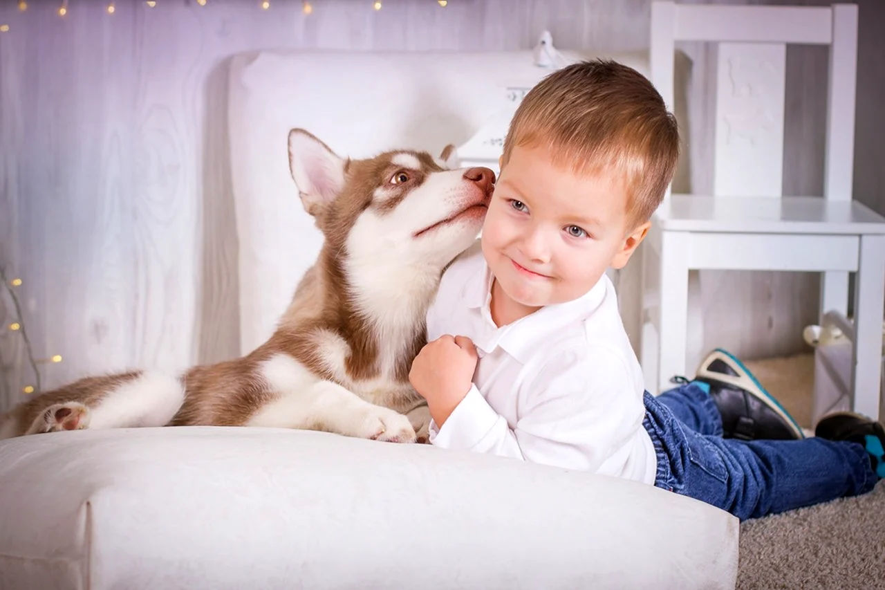 Фотосессия с щенками для детей Йошкар-Ола
