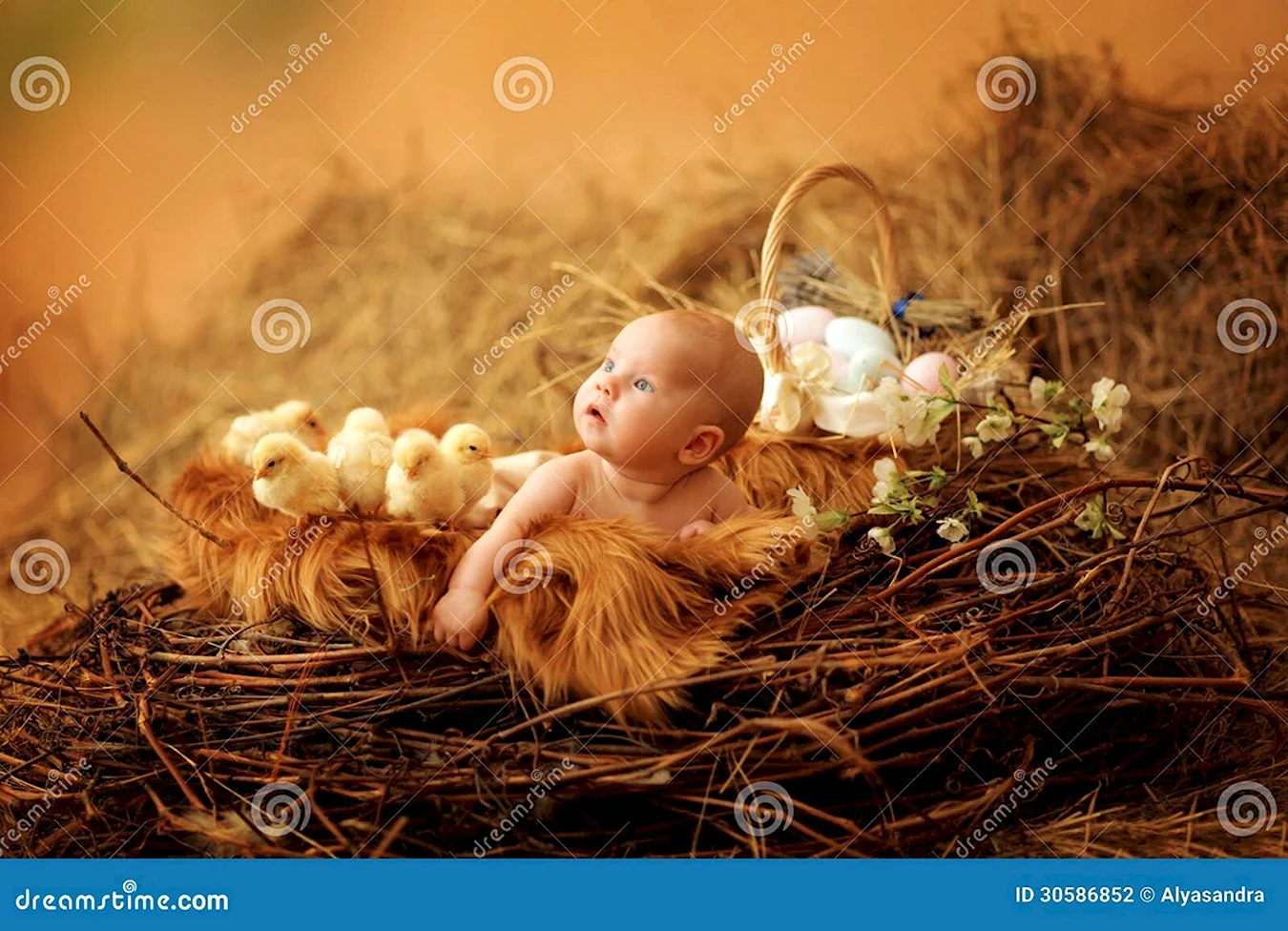 Фотосессия с цыплятами и детьми