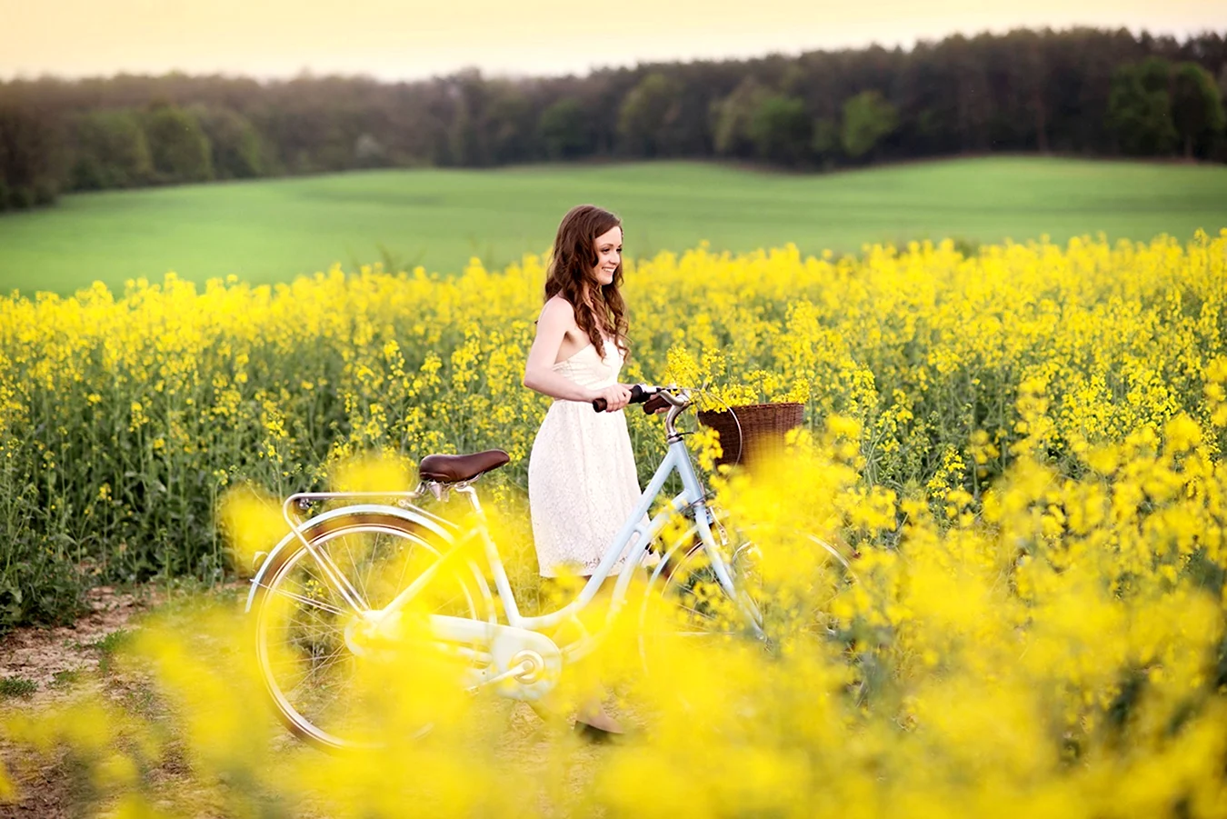Фотосессия с велосипедом в поле