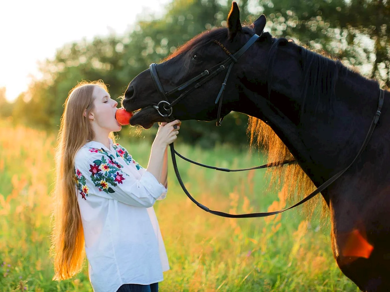 Фотосет с лошадью летом