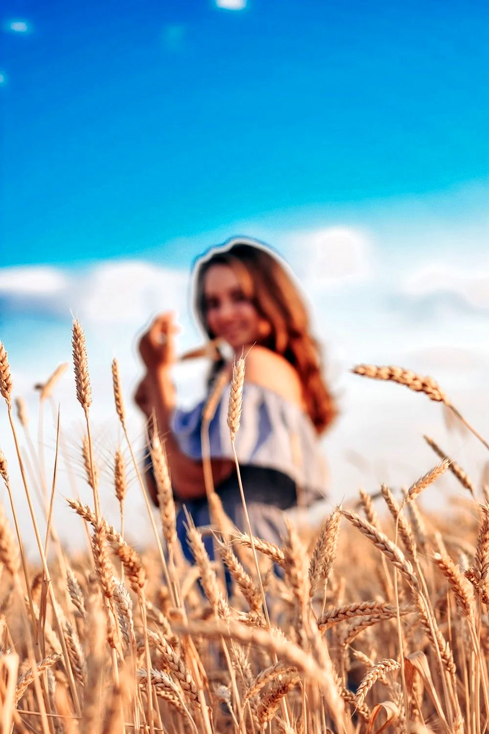 Фотосет в пшеничном поле