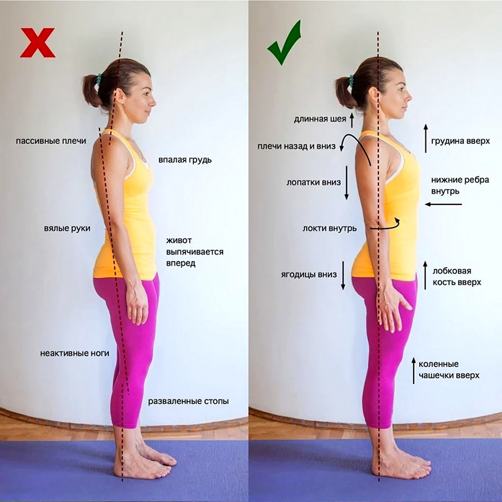 Гимнастика для похудения плеч и шеи