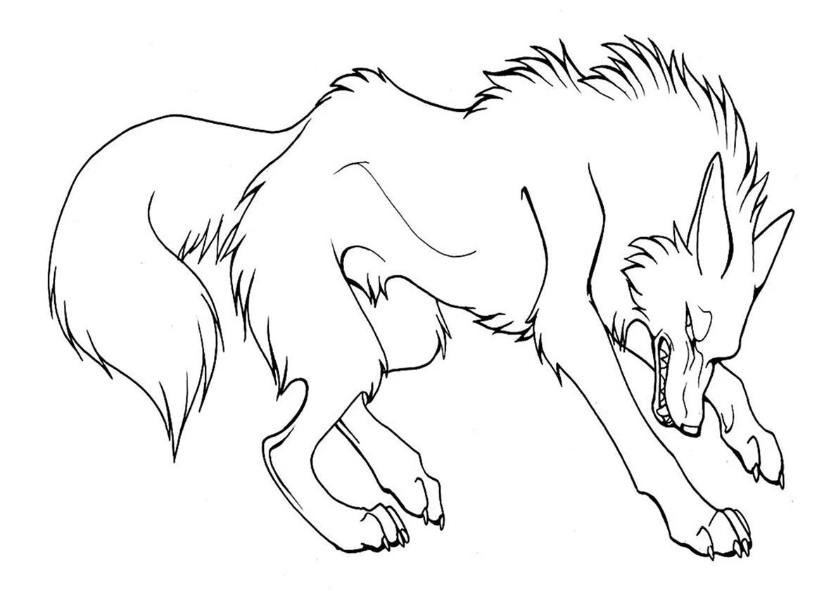 Гривистый волк раскраска