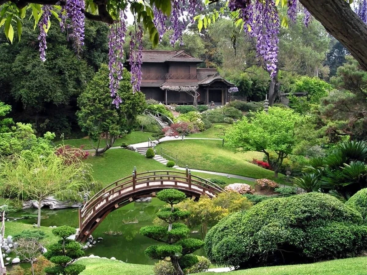 Японский сад Цукияма
