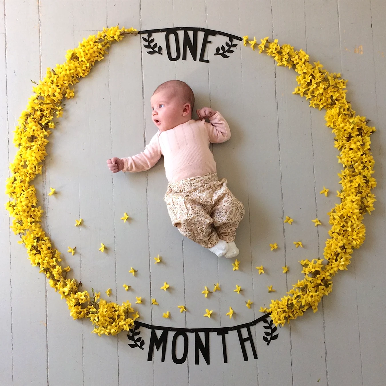 Идеи для фотосессии младенца по месяцам