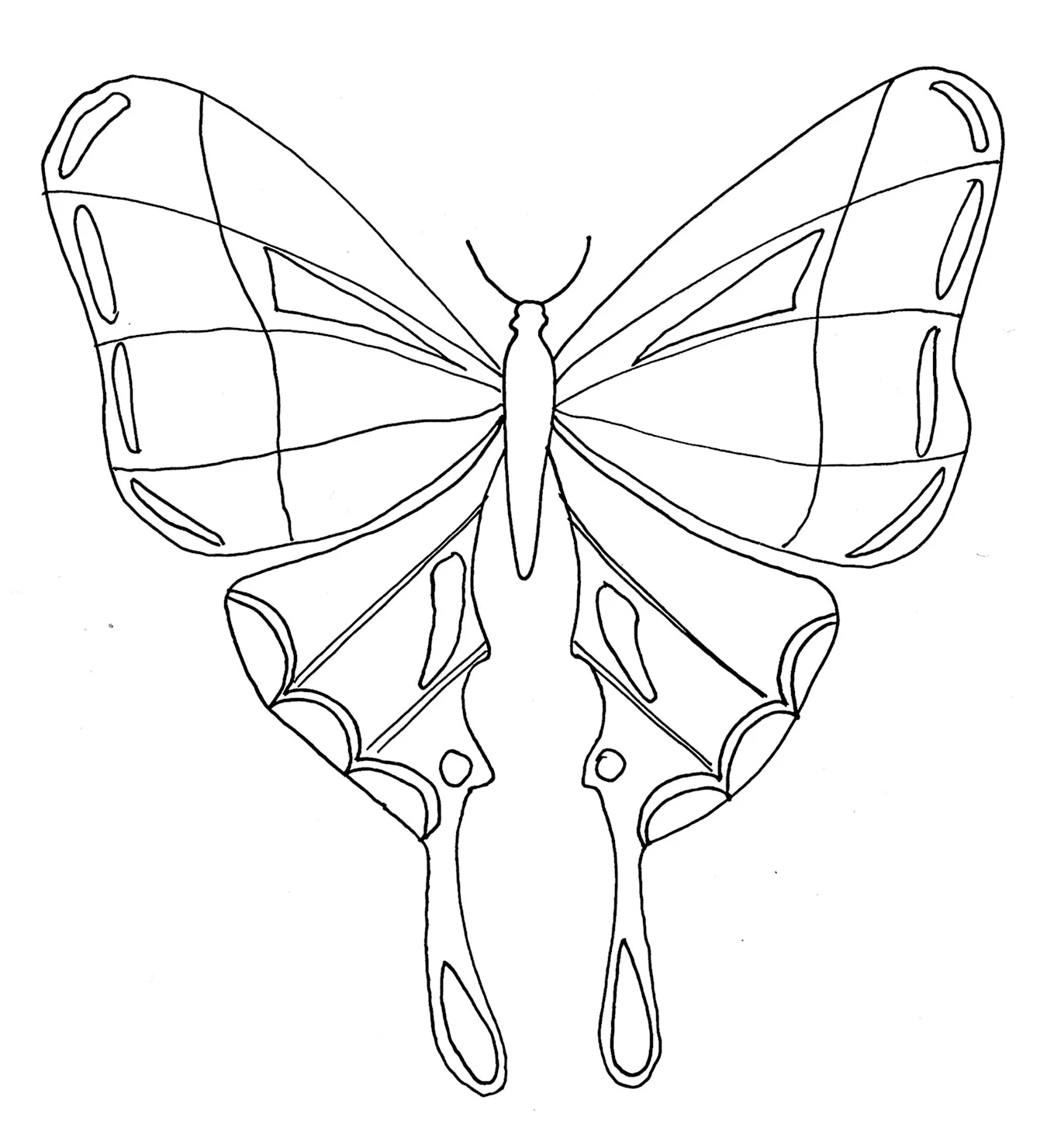 Картинки бабочек для срисовки