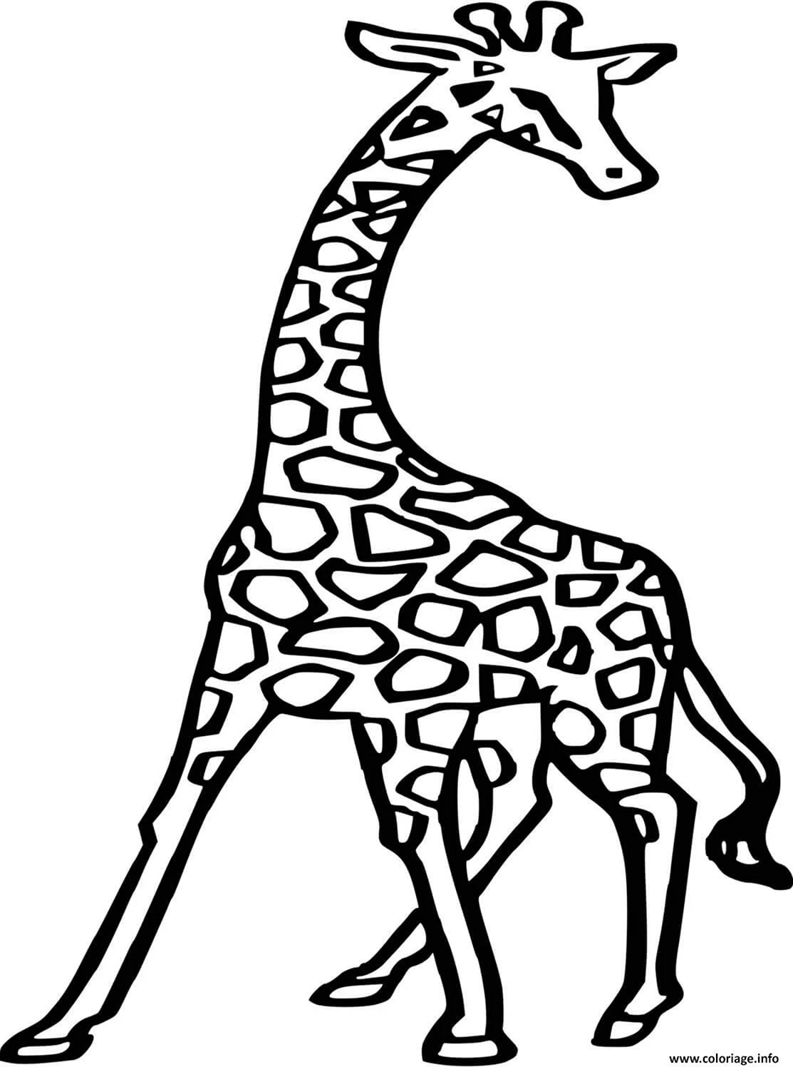 Картинки для срисовки Жираф