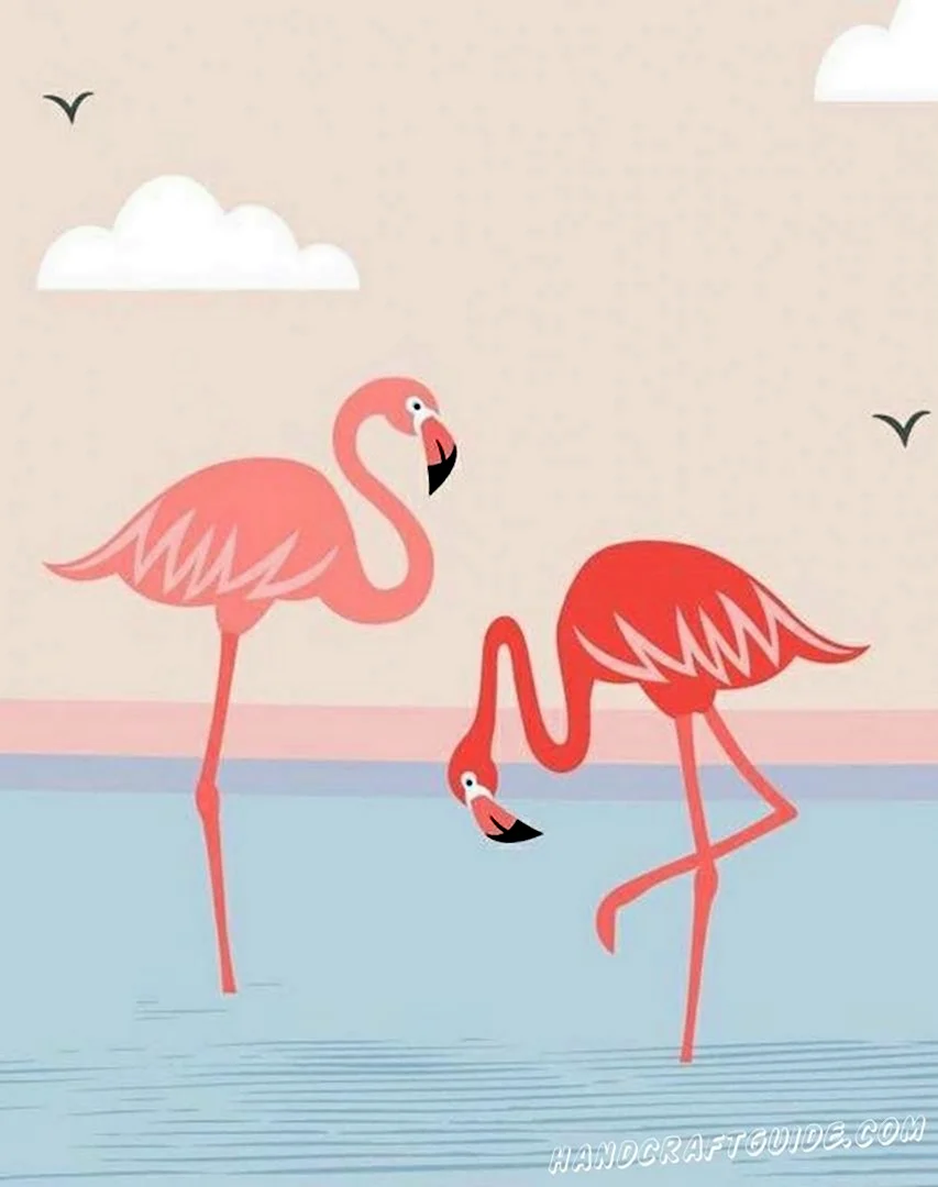 Картинки Фламинго для срисовки