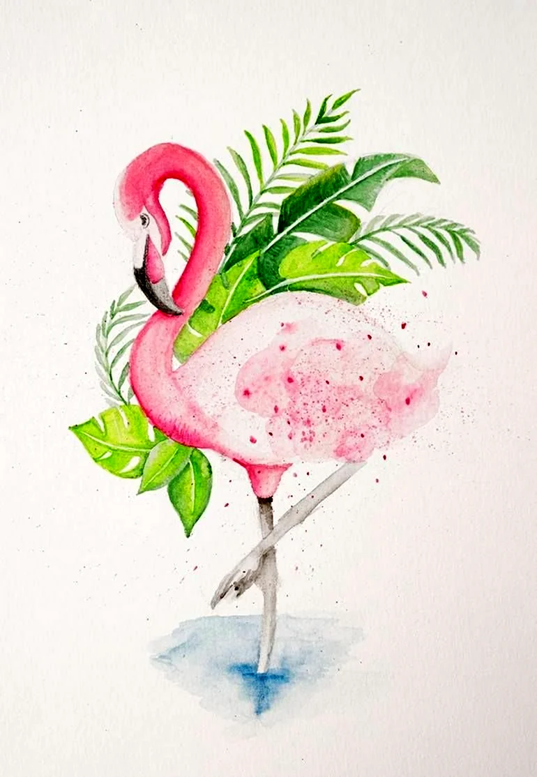 Картины с Фламинго для срисовки