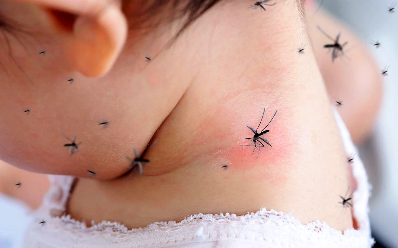 Комар укусит в татуировку