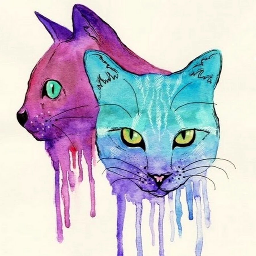 Кошка рисунок цветной