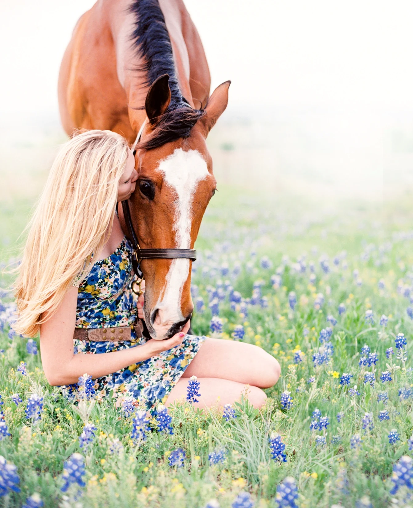 Красивые фотосессии с лошадьми летом