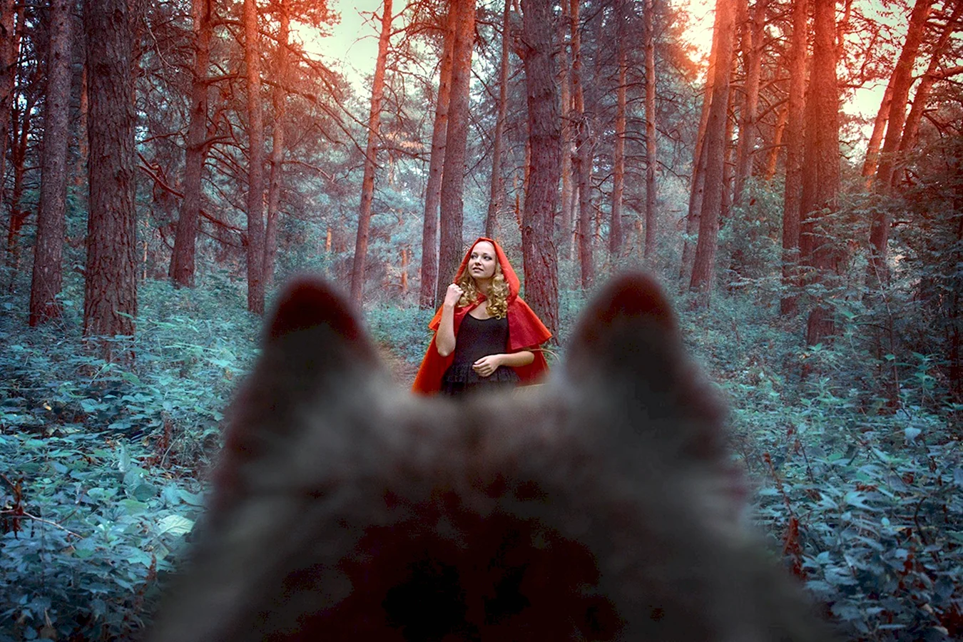Красная шапочка и серый волк фильм