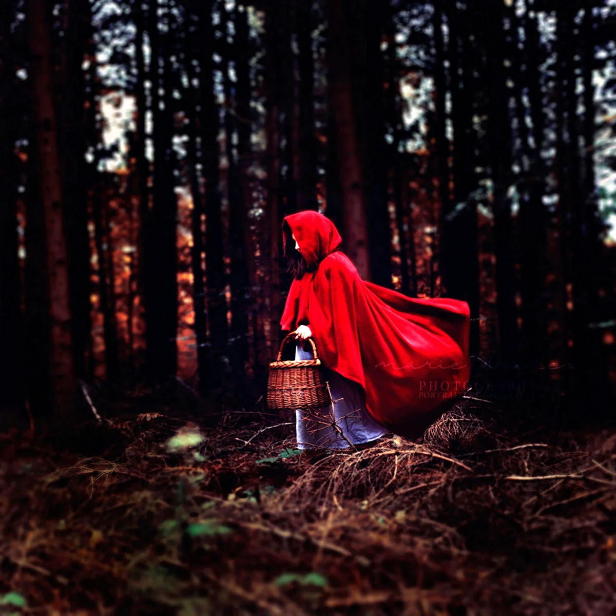Красная шапочка в лесу