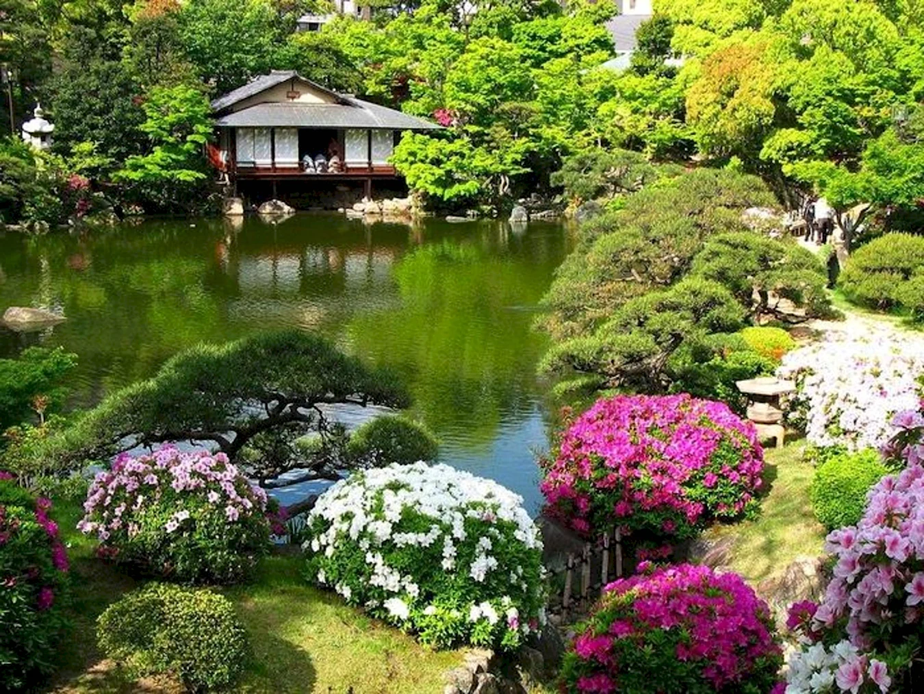 Ландшафтный пейзажный сад Японии