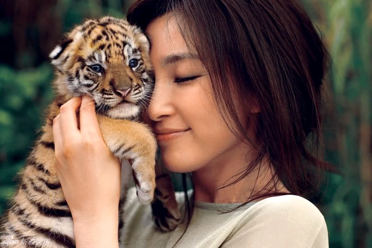 Ли Бинбин с тигренком