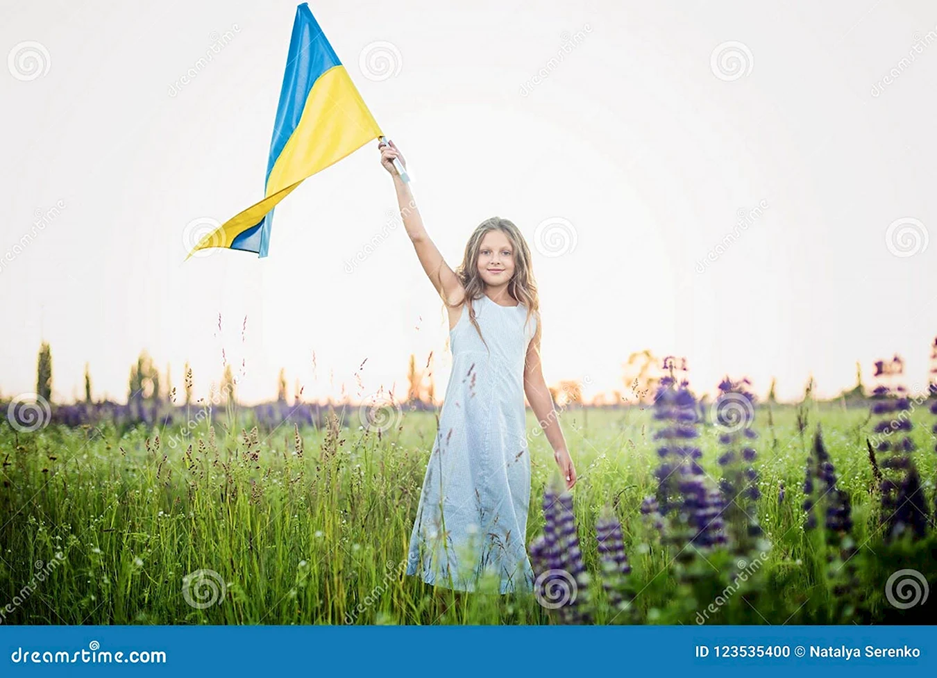 Маленькая девочка с флагом Украины